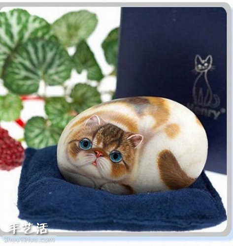 貓咪創(chuàng)意石繪藝術作品 -  itrip.net.cn