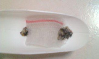 洗發(fā)水瓶DIY自動吸水式吊盆 -  itrip.net.cn