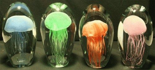 水母DIY做成的環(huán)保節(jié)能燈 -  itrip.net.cn