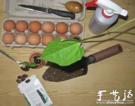 手工DIY蛋殼微盆栽 -  itrip.net.cn