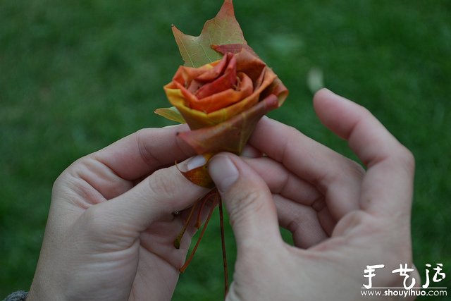 火紅楓葉手工制作的玫瑰 -  itrip.net.cn