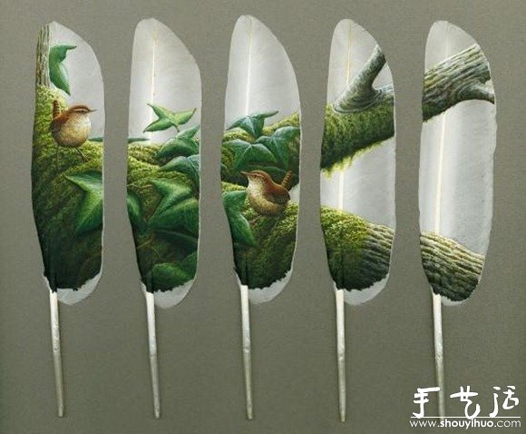 羽毛上的繪畫作品 -  itrip.net.cn