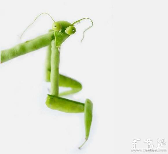 蔬菜水果手工DIY的動物 -  itrip.net.cn