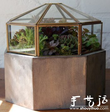 DIY玻璃植物盒 -  itrip.net.cn
