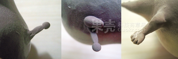 黏土手工DIY肥胖版動物世界 -  itrip.net.cn