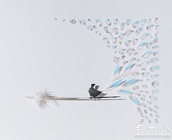 鳥兒羽毛藝術(shù)品手工制作 -  itrip.net.cn