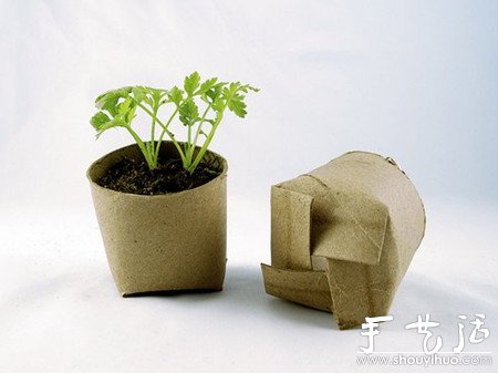 家庭DIY自制可降解的花盆 -  itrip.net.cn