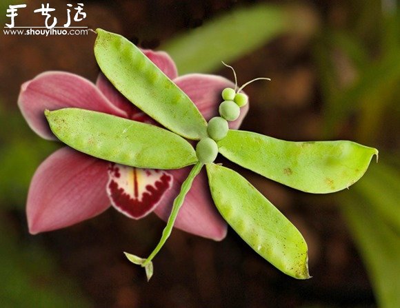 蔬菜DIY的有趣動物 -  itrip.net.cn