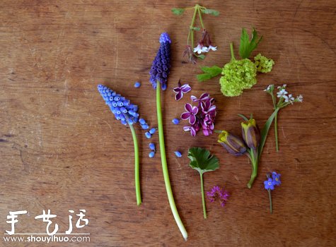 蛋殼小花園手工制作 -  itrip.net.cn