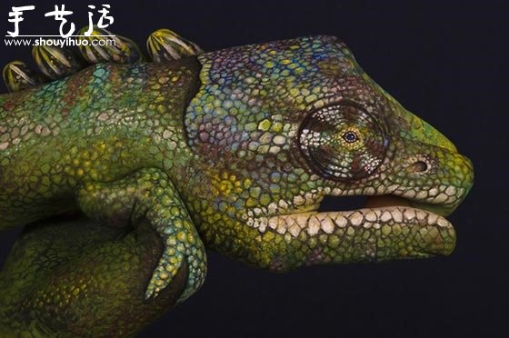 Guido Daniele的絕美動(dòng)物手繪 -  itrip.net.cn