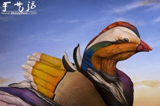 Guido Daniele的絕美動(dòng)物手繪 -  itrip.net.cn