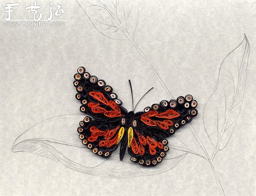 花草蝴蝶漂亮卷紙作品欣賞 -  itrip.net.cn