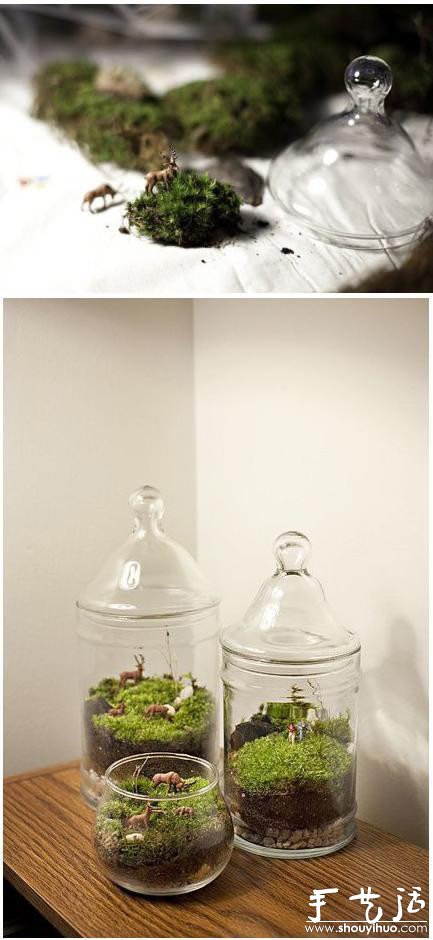 手工DIY苔蘚盆景的教程 -  itrip.net.cn