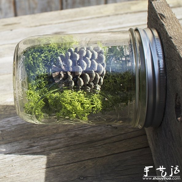 玻璃瓶DIY植物盆景的教程 -  itrip.net.cn