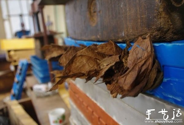 古巴雪茄手工制作過程大揭秘 -  itrip.net.cn
