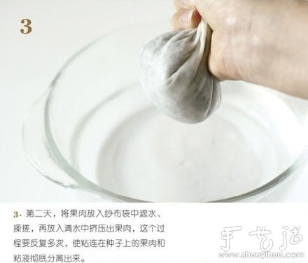 火龍果DIY心形盆栽 -  itrip.net.cn