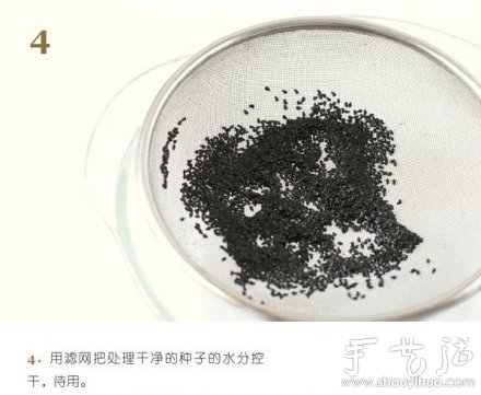 火龍果DIY心形盆栽 -  itrip.net.cn