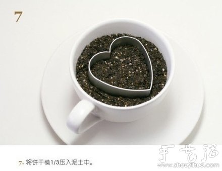 火龍果DIY心形盆栽 -  itrip.net.cn