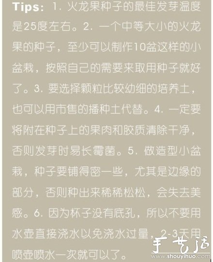火龍果DIY心形盆栽 -  itrip.net.cn