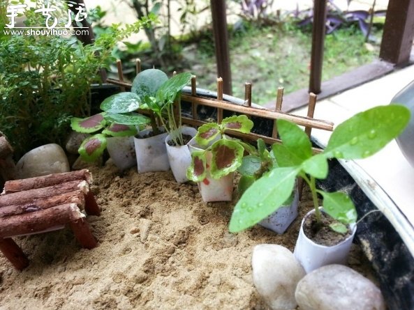 迷你微型花園制作教程 -  itrip.net.cn