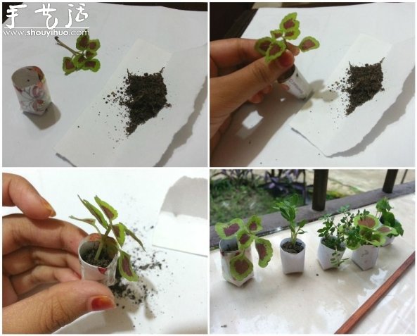 迷你微型花園制作教程 -  itrip.net.cn