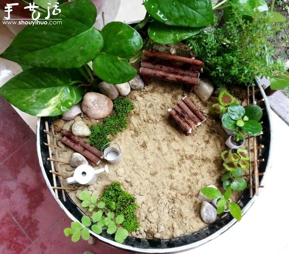 迷你微型花園制作教程 -  itrip.net.cn