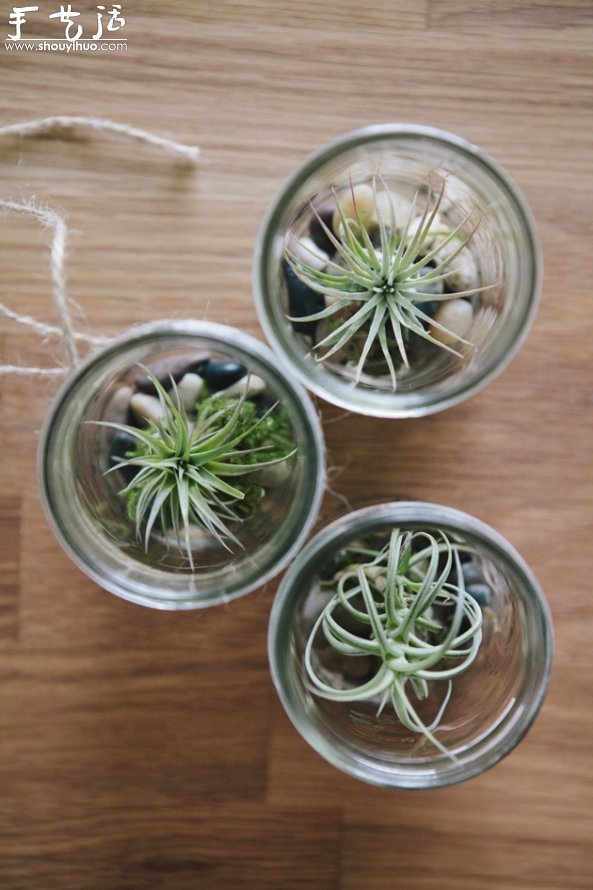 玻璃罐子DIY懸掛的小清新盆栽 -  itrip.net.cn