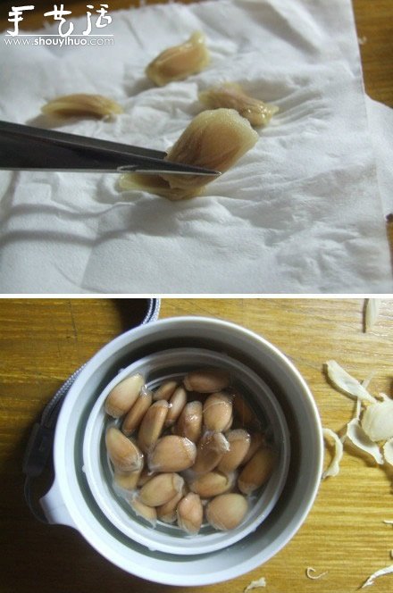 柚子核播種DIY“杯子里的小森林” -  itrip.net.cn