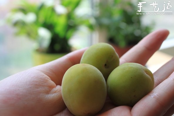 古樸風味的梅子酒手工DIY -  itrip.net.cn