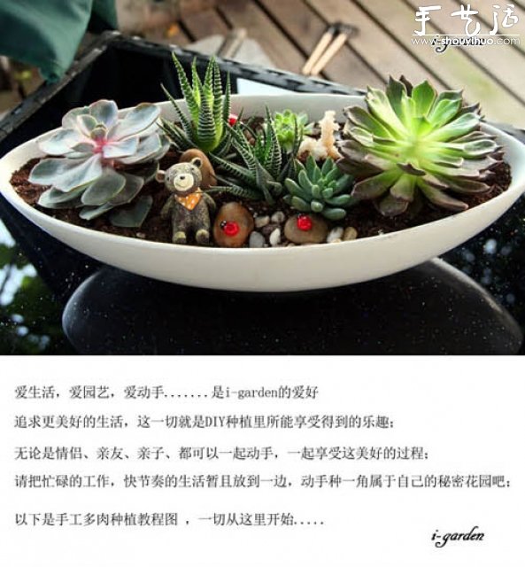 多肉植物手工盆栽DIY -  itrip.net.cn