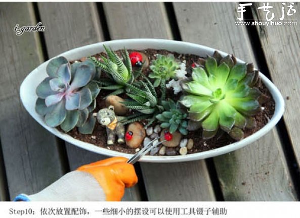 多肉植物手工盆栽DIY -  itrip.net.cn