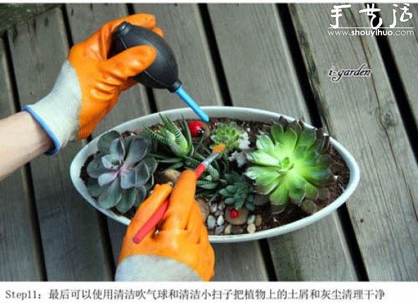 多肉植物手工盆栽DIY -  itrip.net.cn