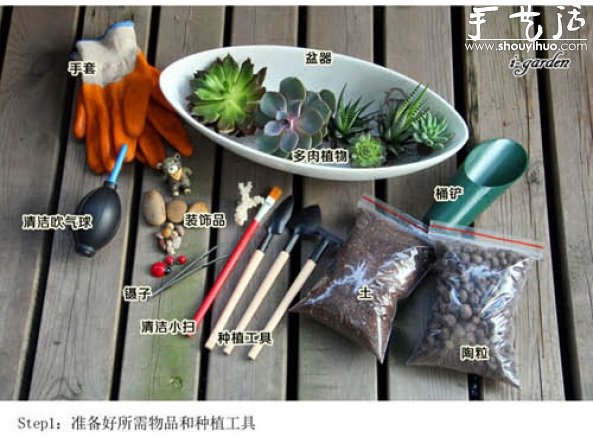 多肉植物手工盆栽DIY -  itrip.net.cn
