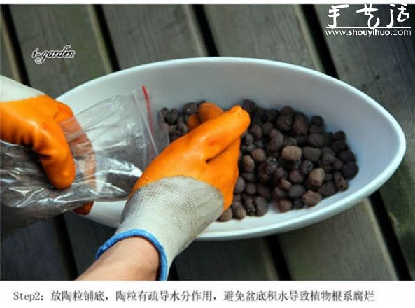 多肉植物手工盆栽DIY -  itrip.net.cn