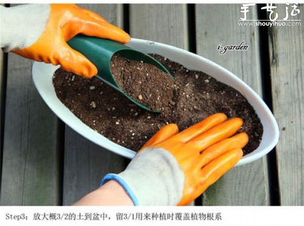 多肉植物手工盆栽DIY -  itrip.net.cn
