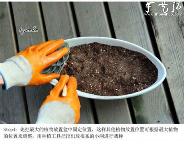多肉植物手工盆栽DIY -  itrip.net.cn