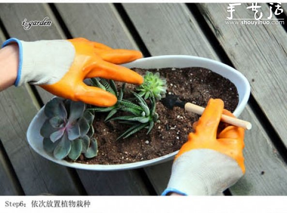 多肉植物手工盆栽DIY -  itrip.net.cn