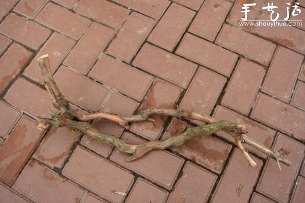 葡萄老根DIY多肉植物盆栽的教程 -  itrip.net.cn