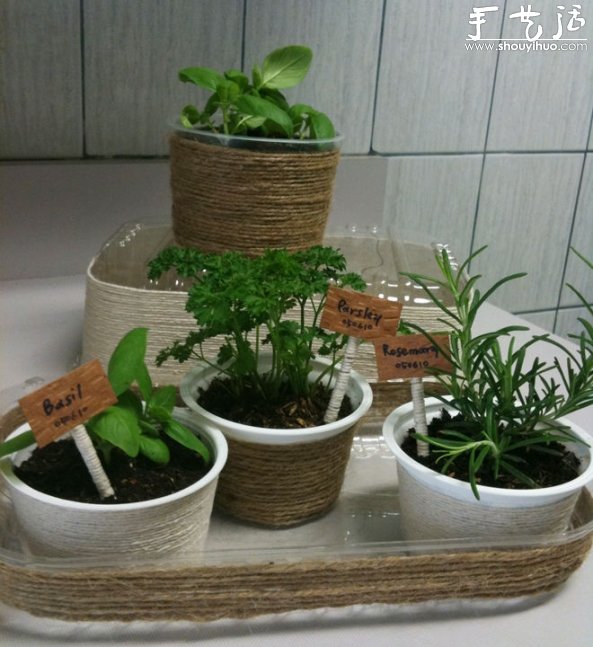 利用回收的塑料容器DIY清新小盆栽 -  itrip.net.cn