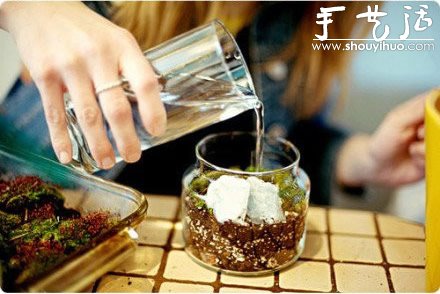 DIY裝飾性玻璃瓶盆栽 -  itrip.net.cn