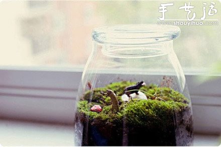 DIY裝飾性玻璃瓶盆栽 -  itrip.net.cn