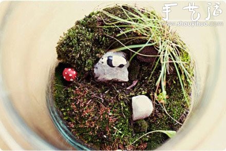 DIY裝飾性玻璃瓶盆栽 -  itrip.net.cn