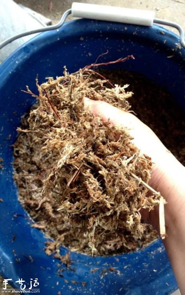 DIY多種多肉植物混搭的盆栽 -  itrip.net.cn