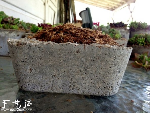 DIY多種多肉植物混搭的盆栽 -  itrip.net.cn
