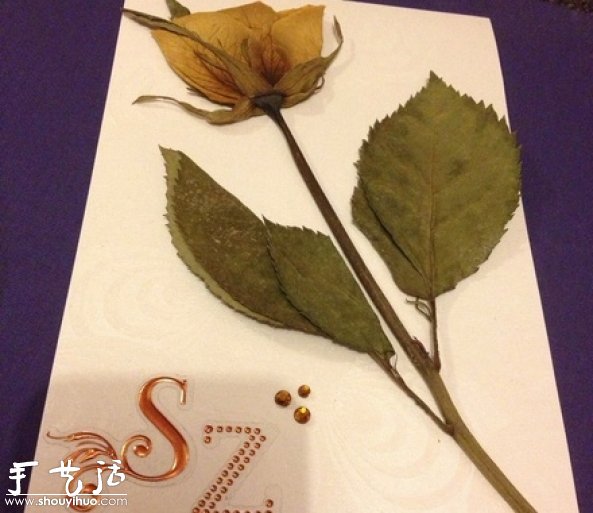 DIY干花裱框標本，干花裱框標本制作方法 -  itrip.net.cn