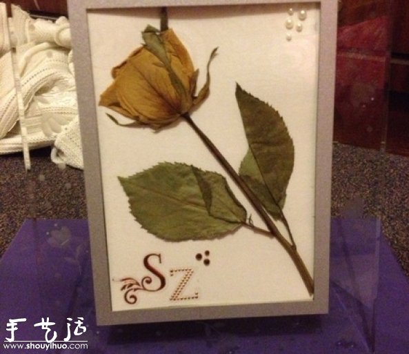 DIY干花裱框標本，干花裱框標本制作方法 -  itrip.net.cn