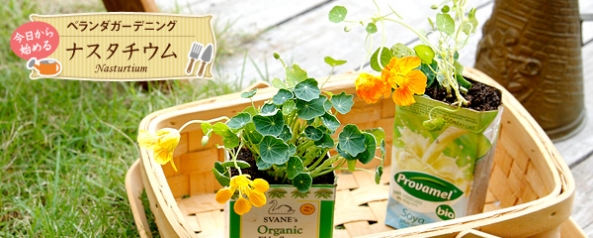 如何移栽花草 花草移植的方法 -  itrip.net.cn