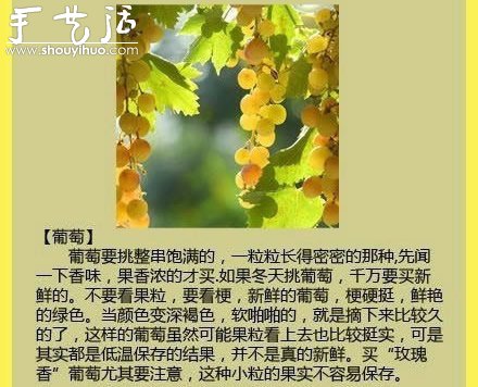 水果商的挑水果秘訣 -  itrip.net.cn