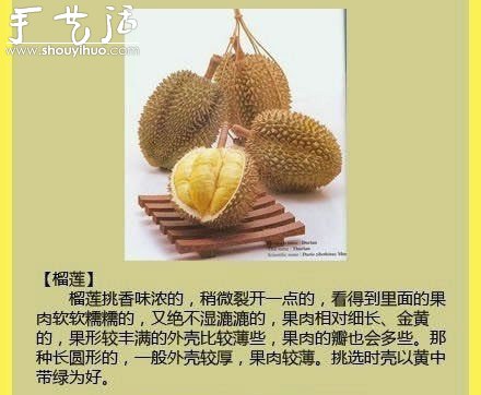 水果商的挑水果秘訣 -  itrip.net.cn