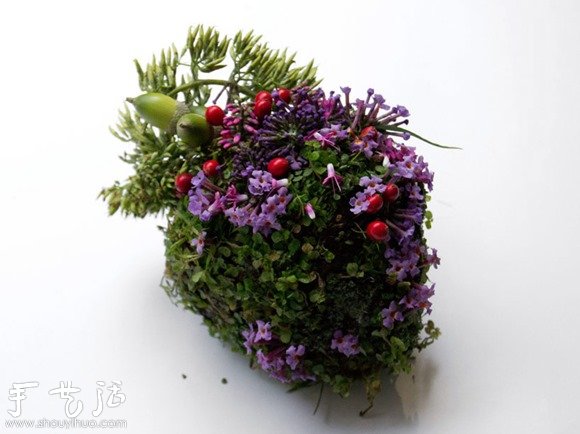 花草DIY的各種人體器官 -  itrip.net.cn